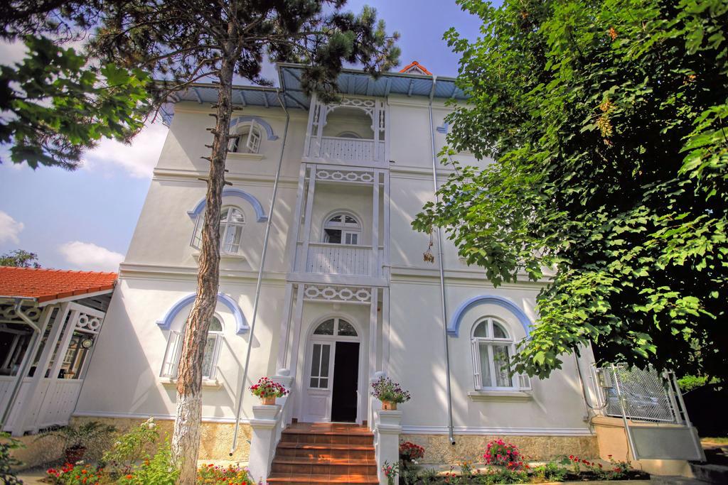 Отель Vila Brancoveanu Эфорие-Суд Экстерьер фото